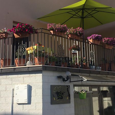 La Casa Dei Fiori Bed and Breakfast Montecilfone Buitenkant foto
