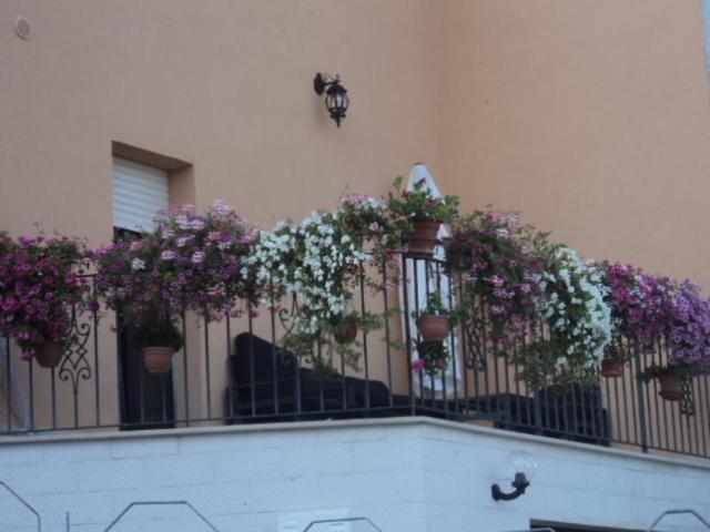La Casa Dei Fiori Bed and Breakfast Montecilfone Buitenkant foto